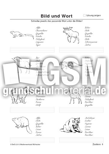 BuW Zootiere6.pdf